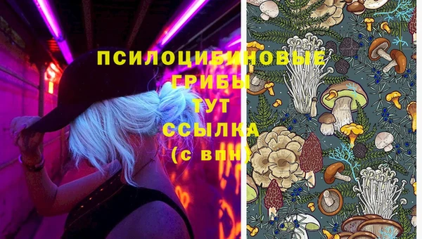 гашик Армянск