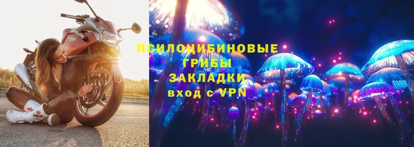 гашик Армянск
