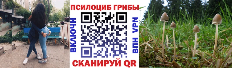 где можно купить   Кологрив  ОМГ ОМГ tor  Галлюциногенные грибы MAGIC MUSHROOMS 